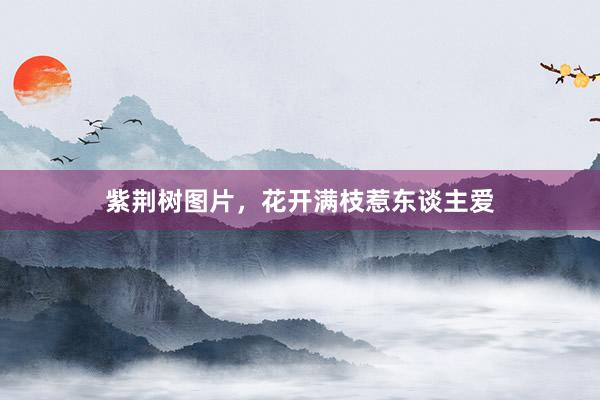 紫荆树图片，花开满枝惹东谈主爱