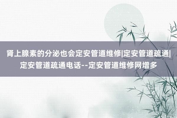 肾上腺素的分泌也会定安管道维修|定安管道疏通|定安管道疏通电话--定安管道维修网增多